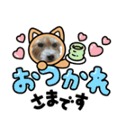 まいるっちゃん（個別スタンプ：1）