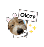 まいるっちゃん（個別スタンプ：15）