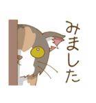 家族で使える三毛猫スタンプ（個別スタンプ：21）