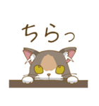 家族で使える三毛猫スタンプ（個別スタンプ：22）