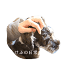 けふのLINEスタンプ①（個別スタンプ：1）