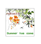 ミチコばあば NO16 夏の花 A（個別スタンプ：1）