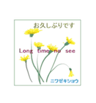 ミチコばあば NO16 夏の花 A（個別スタンプ：6）