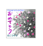 ミチコばあば NO16 夏の花 A（個別スタンプ：8）