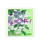 ミチコばあば NO16 夏の花 A（個別スタンプ：9）
