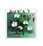 ミチコばあば NO16 夏の花 A（個別スタンプ：10）