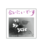 ミチコばあば NO16 夏の花 A（個別スタンプ：12）