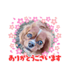 キャバ嬢✨りんスタンプ（個別スタンプ：7）