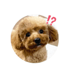 河井ふぁみりー❤（個別スタンプ：1）