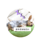 河井ふぁみりー❤（個別スタンプ：5）