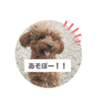 河井ふぁみりー❤（個別スタンプ：7）
