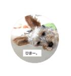 河井ふぁみりー❤（個別スタンプ：10）