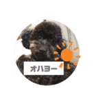 河井ふぁみりー❤（個別スタンプ：13）