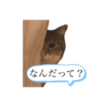 みるくのスタンプ 第2弾（個別スタンプ：9）
