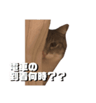 みるくのスタンプ 第2弾（個別スタンプ：17）