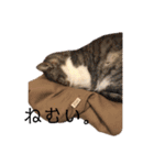 みるくのスタンプ 第2弾（個別スタンプ：20）