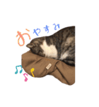 みるくのスタンプ 第2弾（個別スタンプ：21）
