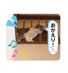 みるくのスタンプ 第2弾（個別スタンプ：23）