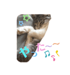 みるくのスタンプ 第2弾（個別スタンプ：30）