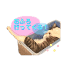 みるくのスタンプ 第2弾（個別スタンプ：31）