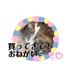 みるくのスタンプ 第2弾（個別スタンプ：37）