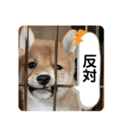 ハチ！（個別スタンプ：10）