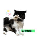 ぽこたの生活（個別スタンプ：6）