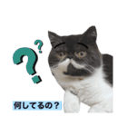 ぽこたの生活（個別スタンプ：9）