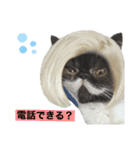 ぽこたの生活（個別スタンプ：10）