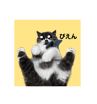 ぽこたの生活（個別スタンプ：20）