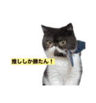 ぽこたの生活（個別スタンプ：23）