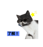 ぽこたの生活（個別スタンプ：25）