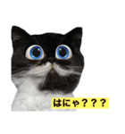 ぽこたの生活（個別スタンプ：31）