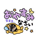 さくらごろく（個別スタンプ：13）