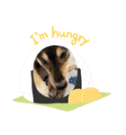 さくらごろく（個別スタンプ：15）