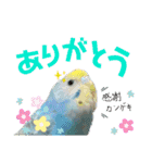 麦ちゃんと時々仲間たち♪（個別スタンプ：1）