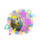 麦ちゃんと時々仲間たち♪（個別スタンプ：3）