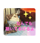 麦ちゃんと時々仲間たち♪（個別スタンプ：4）