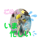 麦ちゃんと時々仲間たち♪（個別スタンプ：6）