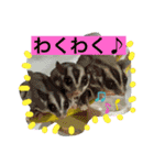 麦ちゃんと時々仲間たち♪（個別スタンプ：7）