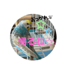 麦ちゃんと時々仲間たち♪（個別スタンプ：10）
