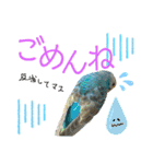 麦ちゃんと時々仲間たち♪（個別スタンプ：11）