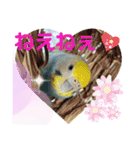 麦ちゃんと時々仲間たち♪（個別スタンプ：13）