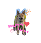はーるはるはる（個別スタンプ：3）