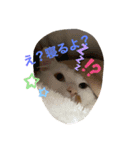 はーるはるはる（個別スタンプ：6）