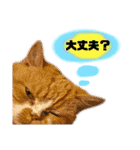 18歳のまんちちゃんpart5（個別スタンプ：6）