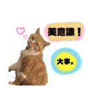 18歳のまんちちゃんpart5（個別スタンプ：7）