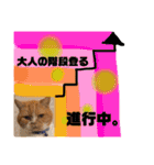 18歳のまんちちゃんpart5（個別スタンプ：29）
