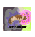 18歳のまんちちゃんpart5（個別スタンプ：31）