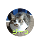 ナナエモン（個別スタンプ：1）